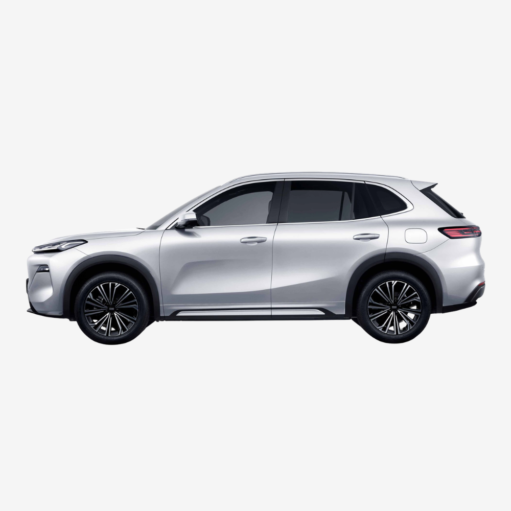 Geely Starray EM-i